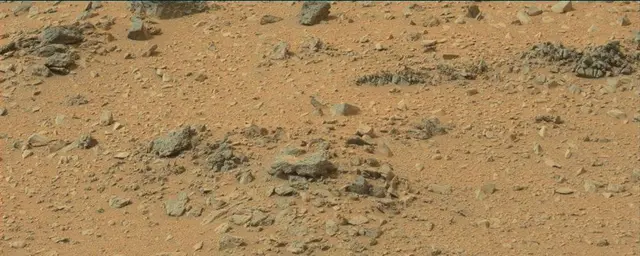 Sol 110: Mast Camera (Mastcam)