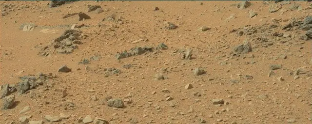 Sol 110: Mast Camera (Mastcam)