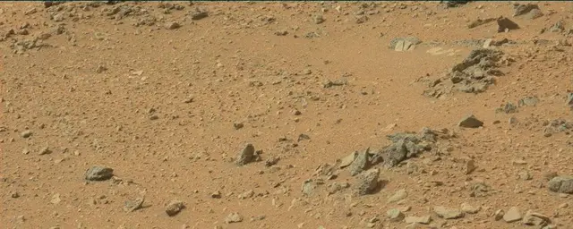 Sol 110: Mast Camera (Mastcam)