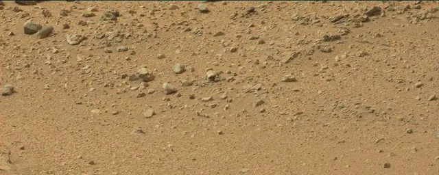 Sol 110: Mast Camera (Mastcam)