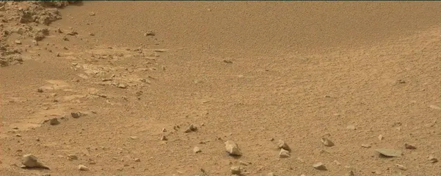 Sol 110: Mast Camera (Mastcam)