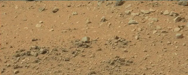 Sol 110: Mast Camera (Mastcam)