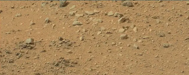 Sol 110: Mast Camera (Mastcam)