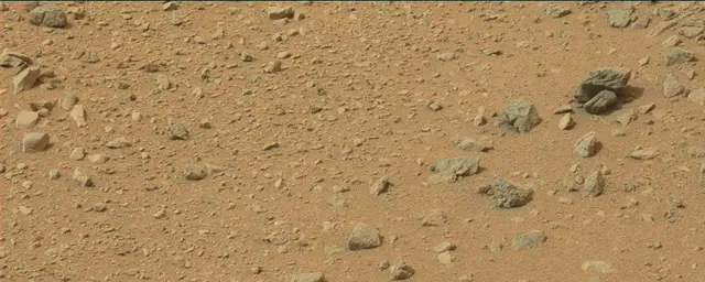 Sol 110: Mast Camera (Mastcam)