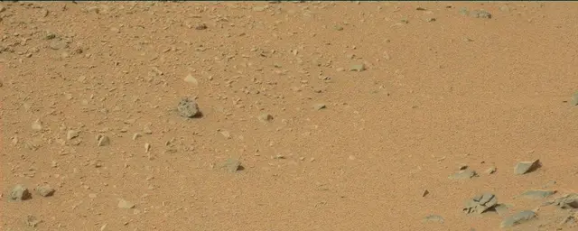 Sol 110: Mast Camera (Mastcam)