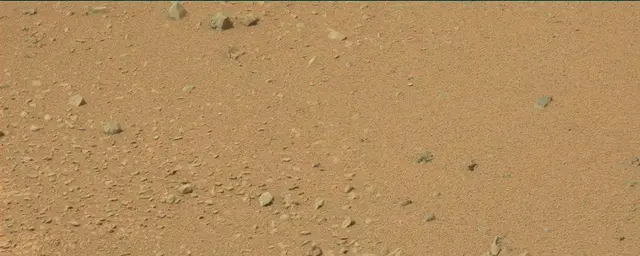 Sol 110: Mast Camera (Mastcam)