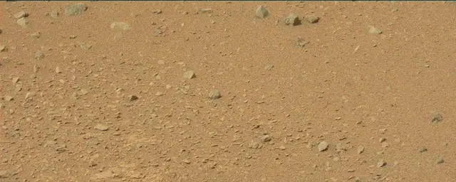 Sol 110: Mast Camera (Mastcam)