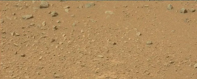 Sol 110: Mast Camera (Mastcam)