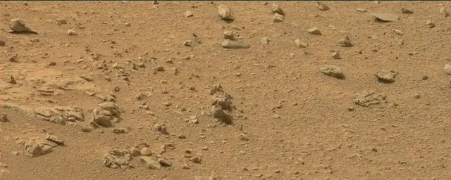 Sol 110: Mast Camera (Mastcam)