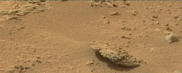 Sol 110: Mast Camera (Mastcam)