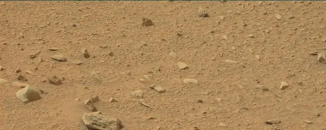 Sol 110: Mast Camera (Mastcam)