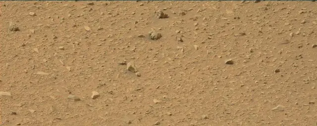 Sol 110: Mast Camera (Mastcam)