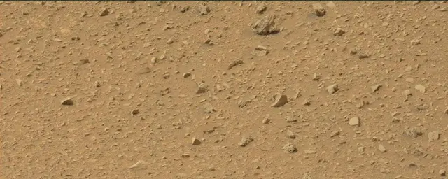 Sol 110: Mast Camera (Mastcam)