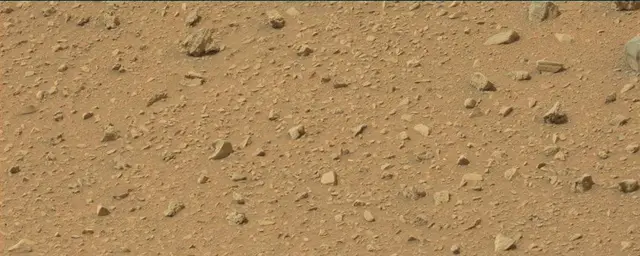 Sol 110: Mast Camera (Mastcam)