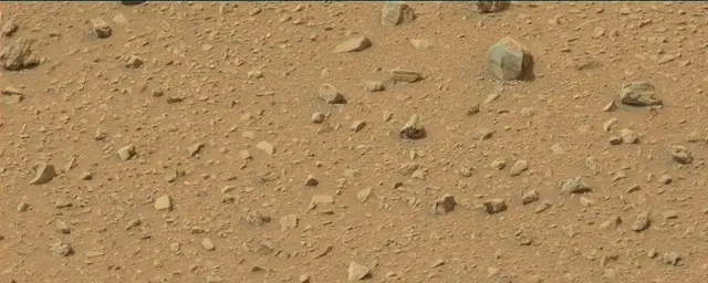 Sol 110: Mast Camera (Mastcam)