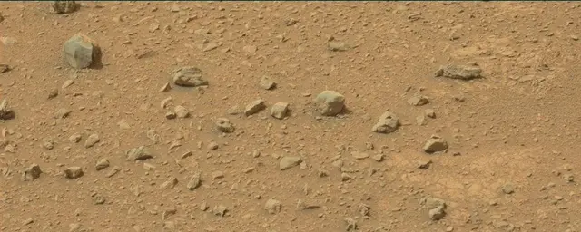 Sol 110: Mast Camera (Mastcam)