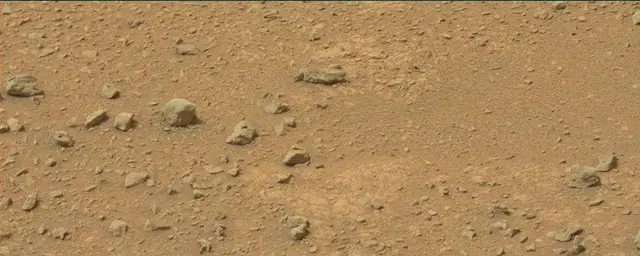 Sol 110: Mast Camera (Mastcam)