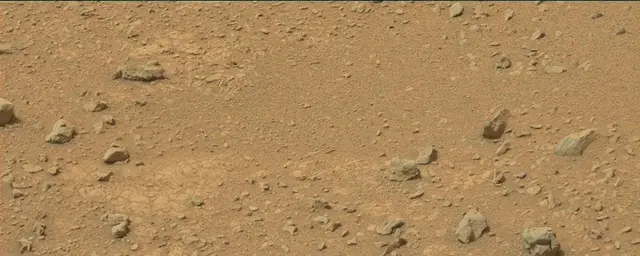 Sol 110: Mast Camera (Mastcam)