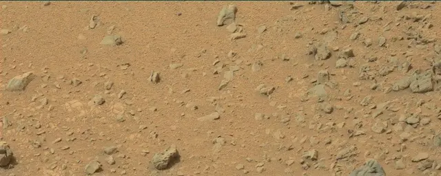 Sol 110: Mast Camera (Mastcam)