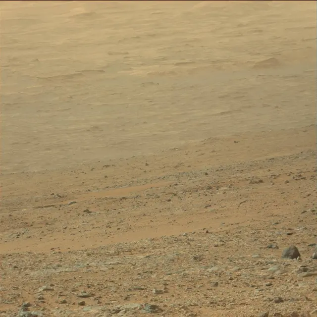Sol 110: Mast Camera (Mastcam)
