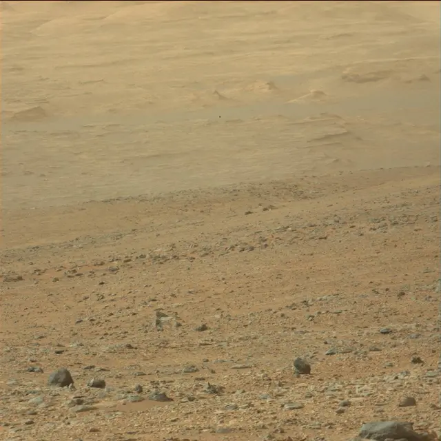 Sol 110: Mast Camera (Mastcam)