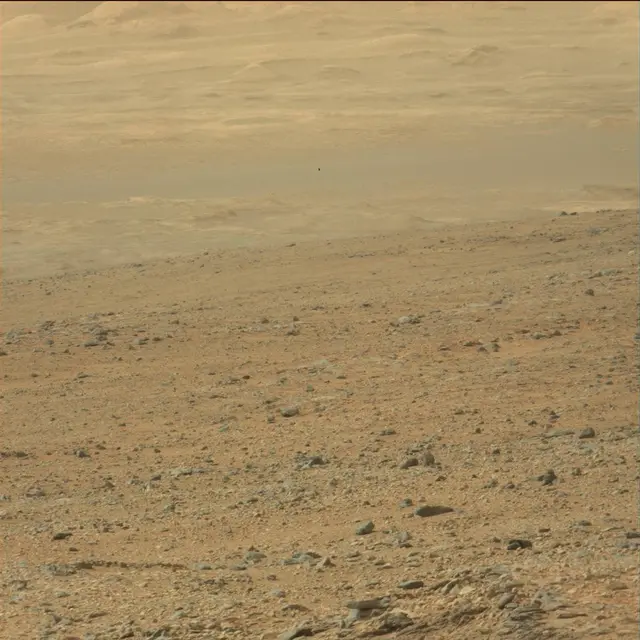 Sol 110: Mast Camera (Mastcam)