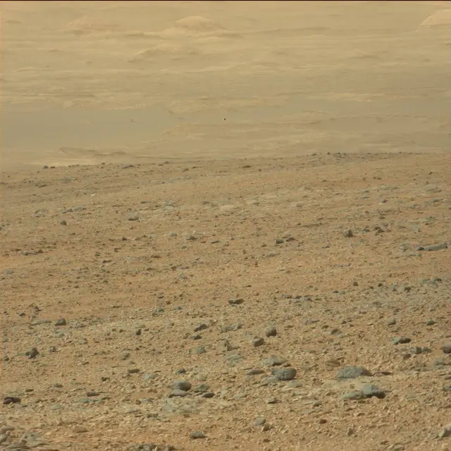 Sol 110: Mast Camera (Mastcam)