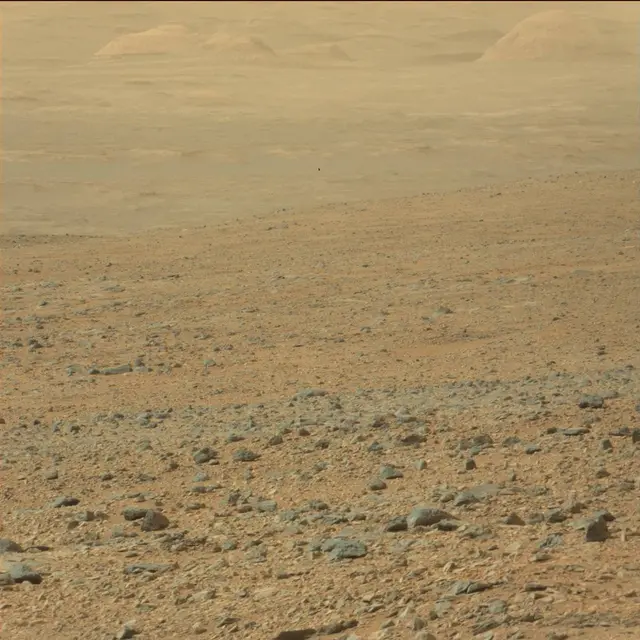 Sol 110: Mast Camera (Mastcam)