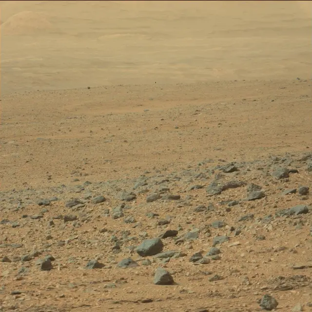 Sol 110: Mast Camera (Mastcam)