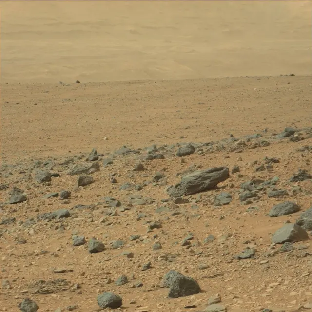 Sol 110: Mast Camera (Mastcam)