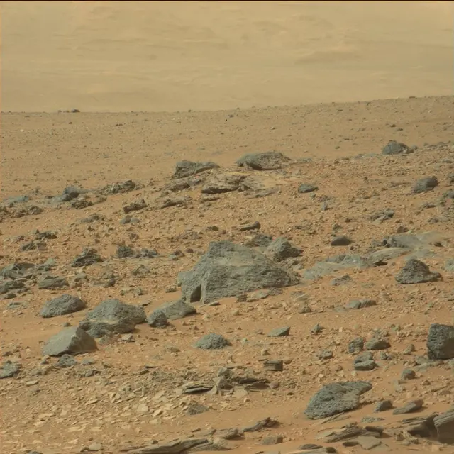 Sol 110: Mast Camera (Mastcam)