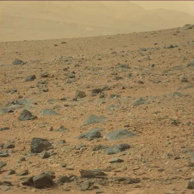 Sol 110: Mast Camera (Mastcam)