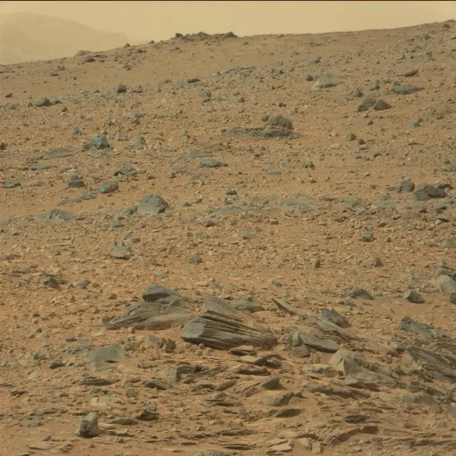 Sol 110: Mast Camera (Mastcam)