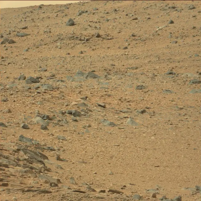 Sol 110: Mast Camera (Mastcam)