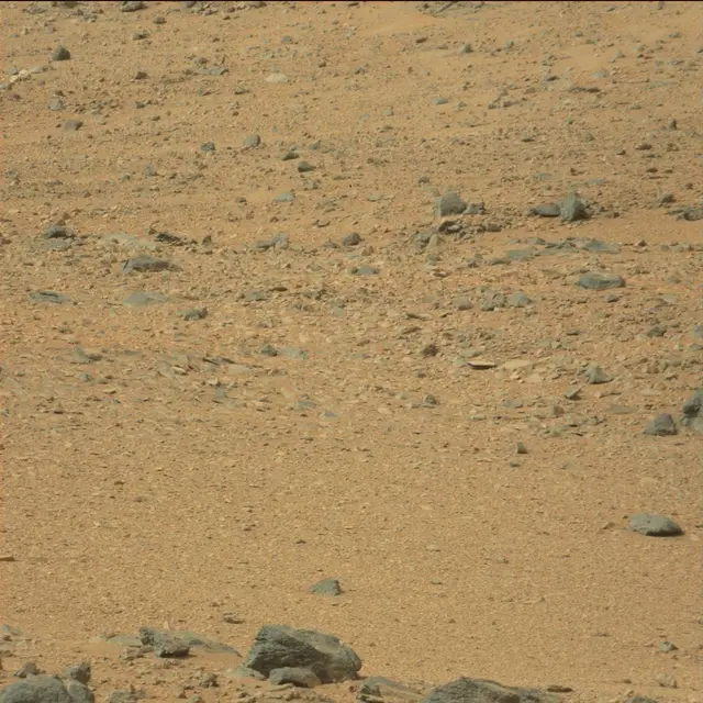 Sol 110: Mast Camera (Mastcam)