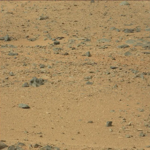 Sol 110: Mast Camera (Mastcam)