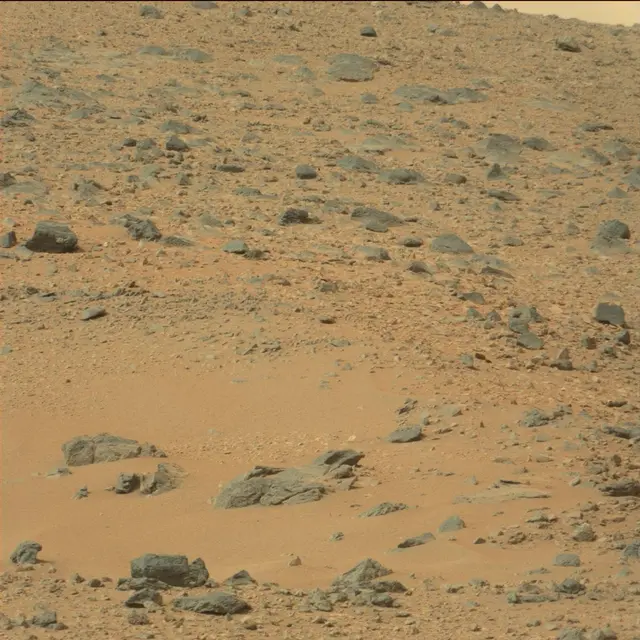 Sol 110: Mast Camera (Mastcam)