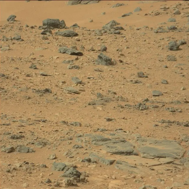 Sol 110: Mast Camera (Mastcam)