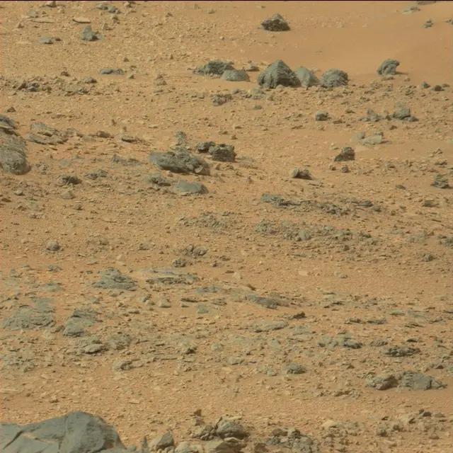 Sol 110: Mast Camera (Mastcam)