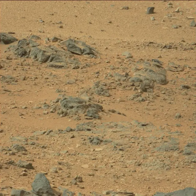 Sol 110: Mast Camera (Mastcam)
