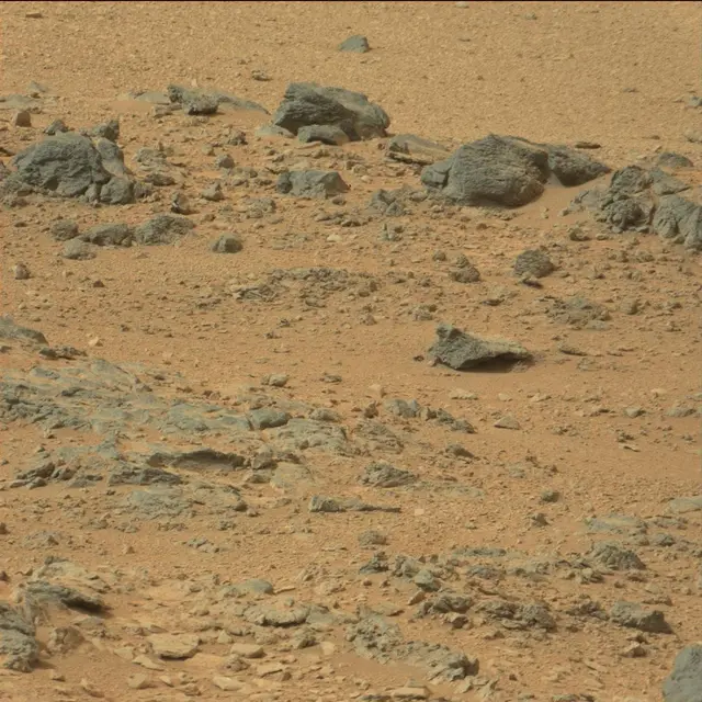 Sol 110: Mast Camera (Mastcam)