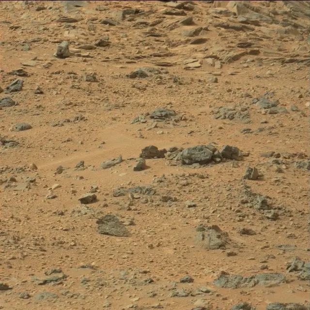 Sol 110: Mast Camera (Mastcam)