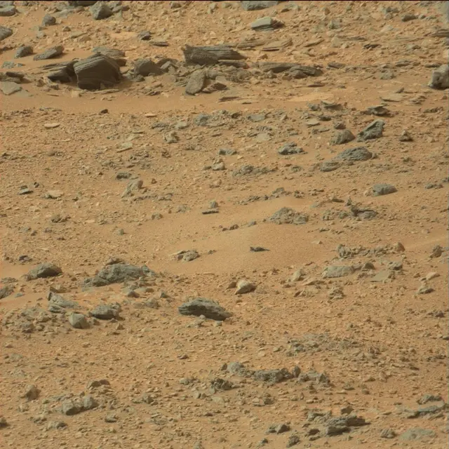 Sol 110: Mast Camera (Mastcam)