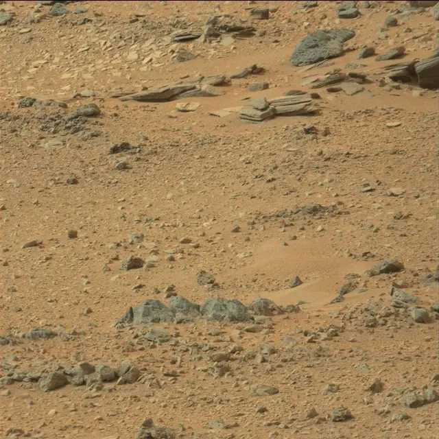 Sol 110: Mast Camera (Mastcam)