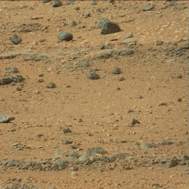 Sol 110: Mast Camera (Mastcam)