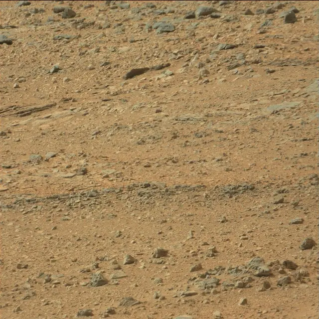 Sol 110: Mast Camera (Mastcam)