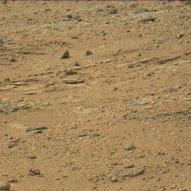 Sol 110: Mast Camera (Mastcam)