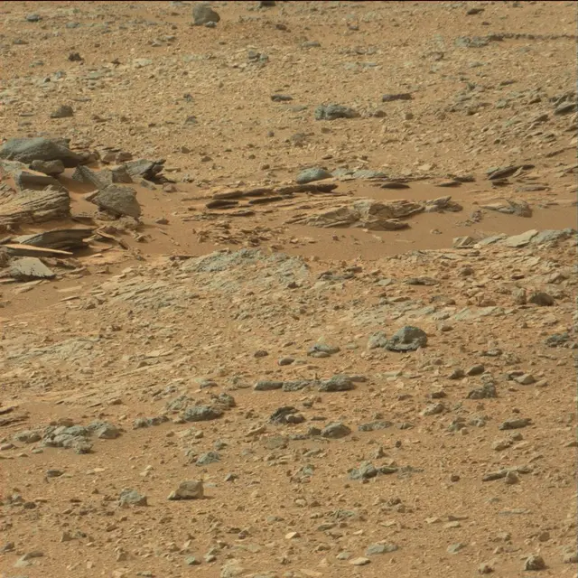 Sol 110: Mast Camera (Mastcam)