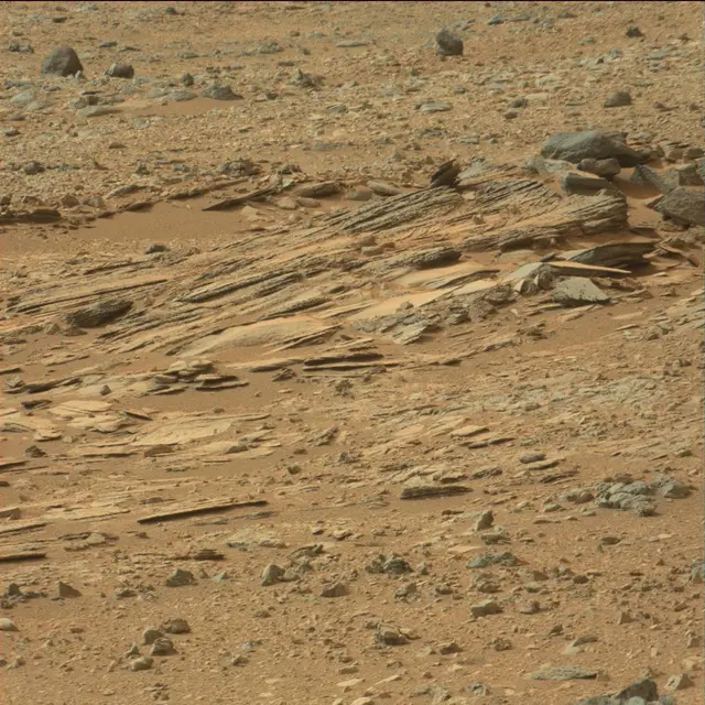 Sol 110: Mast Camera (Mastcam)