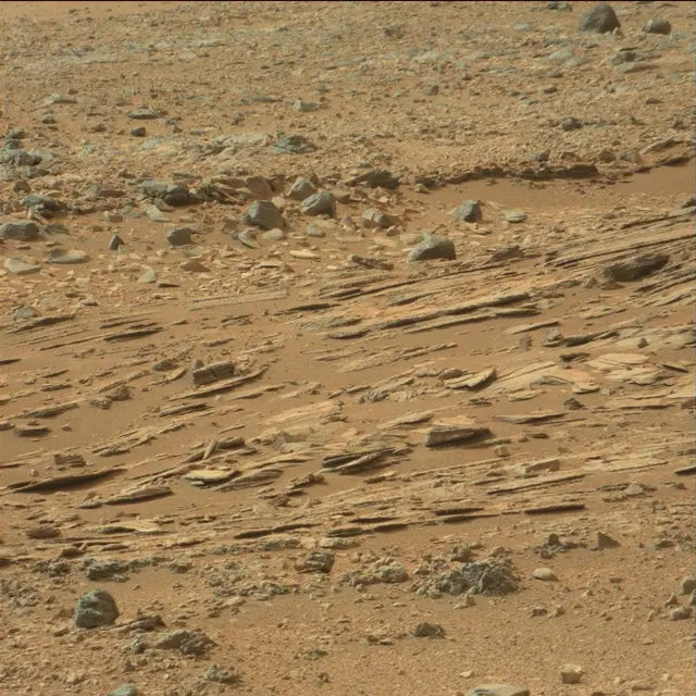 Sol 110: Mast Camera (Mastcam)
